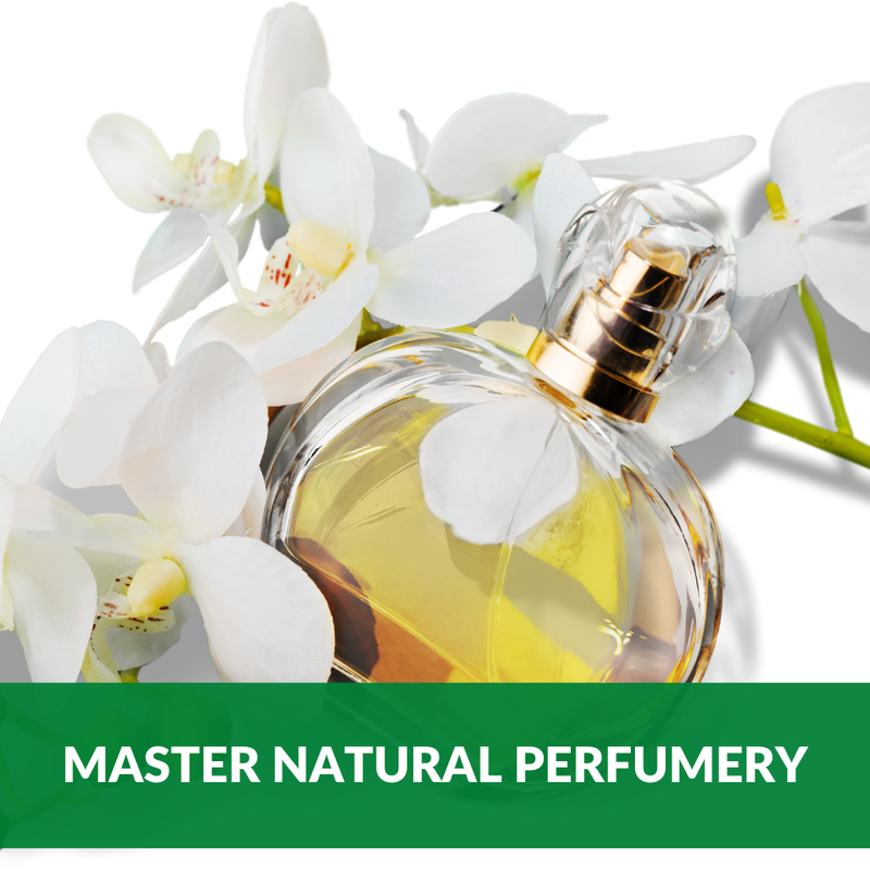Master Natural Perfumery