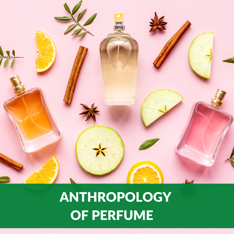 Anthropology of Perfume